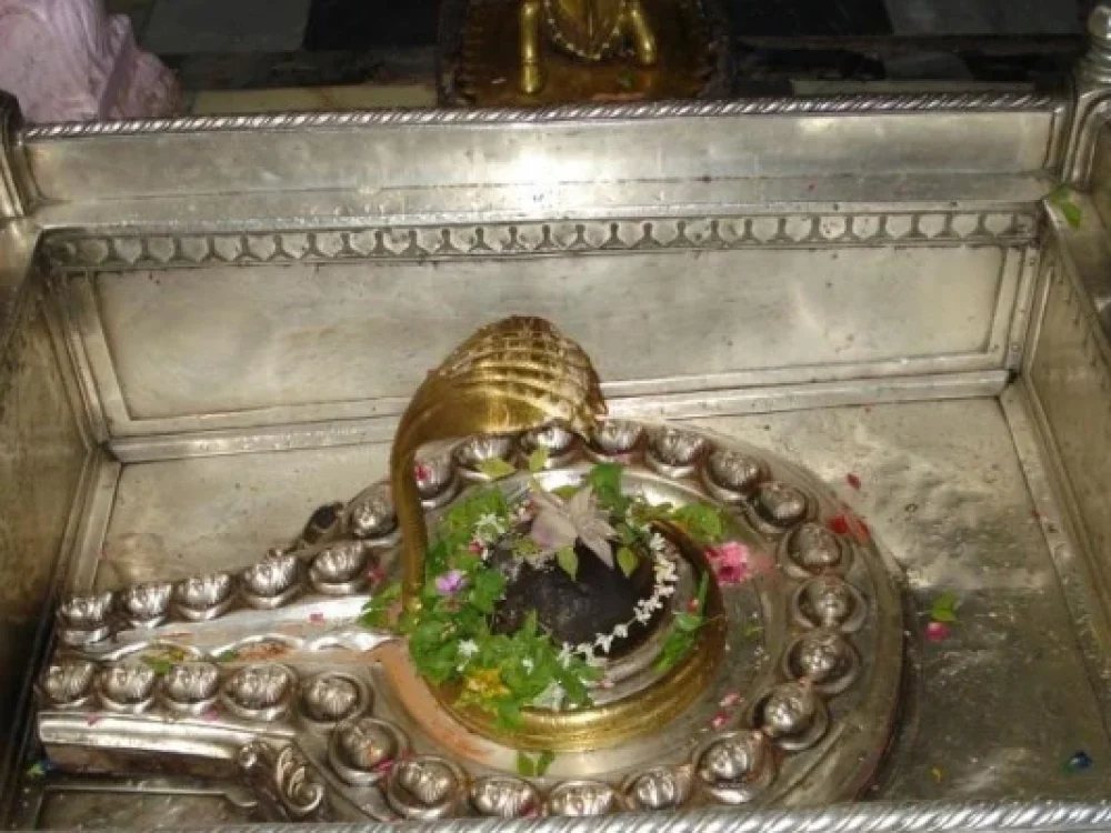 Kasi Vishwanath Temple varanasi kashitrips.com